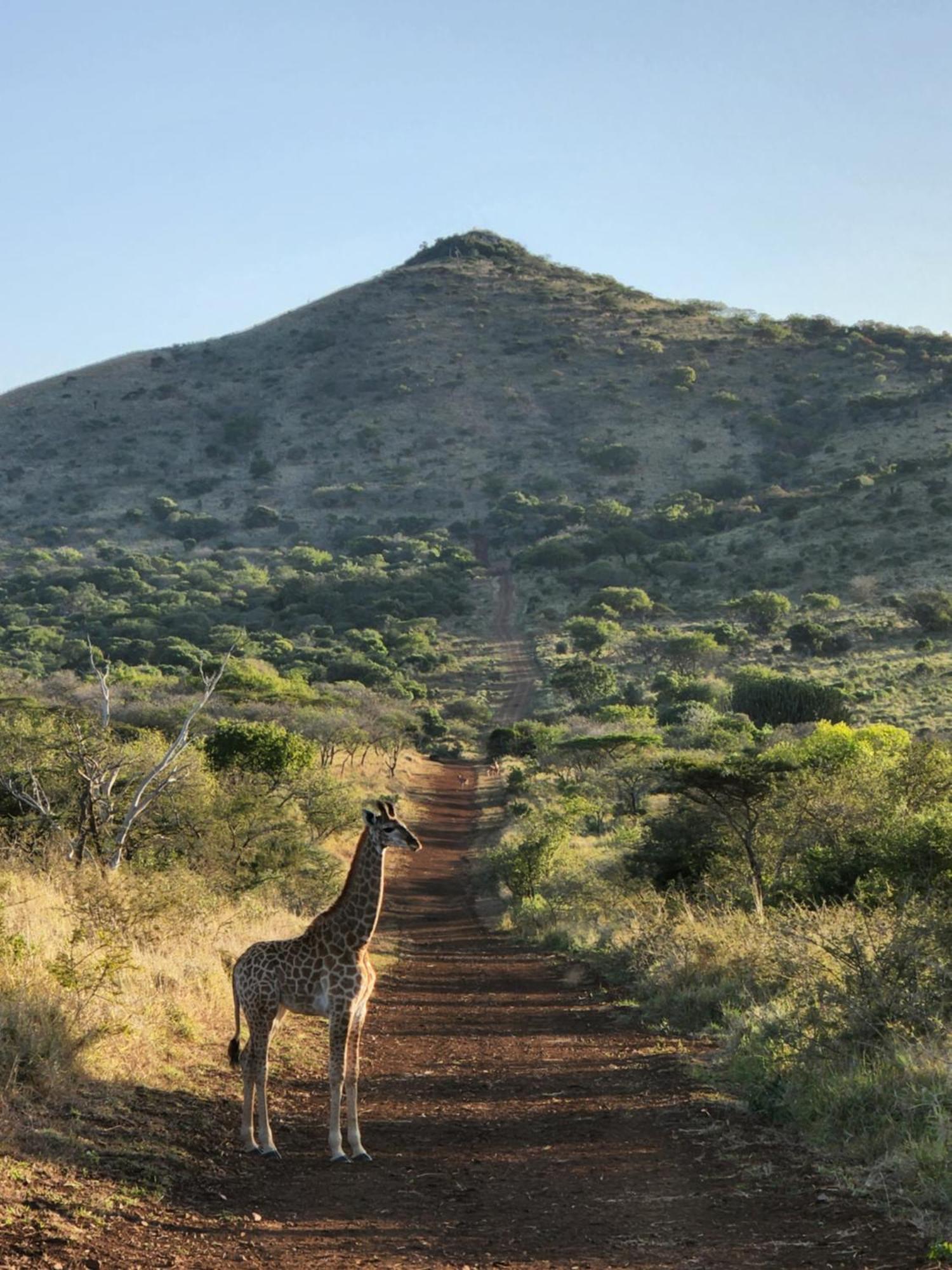 Duiker Game Lodge Hluhluwe Exterior foto